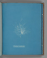 Ceramium diaphanum, Anna Atkins  British, Cyanotype