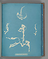 Enteromorpha ramulosa, Anna Atkins  British, Cyanotype