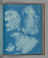 Zygnema deciminum, Anna Atkins  British, Cyanotype