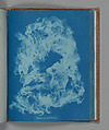 Vaucheria dichotoma, Anna Atkins  British, Cyanotype