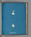 Calothrix Cresswelliæ, Anna Atkins  British, Cyanotype