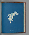 Ulva lactuca, Anna Atkins British, Cyanotype