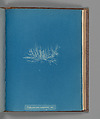 Enteromorpha compressa, var., Anna Atkins  British, Cyanotype