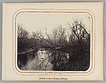 Reflections Branches, Sky (17),  Atlantic and Great Western Railway, James Fitzallen Ryder  American, Albumen silver print