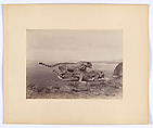 [Two Cheetahs], Ottomar Anschütz  German, Albumen silver print from glass negative