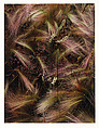 Foxtail Grass, Lake City, Colorado, Eliot Porter  American, Dye transfer print