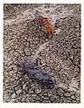 Stones and Mud Cracks, Black Place, New Mexico, Eliot Porter  American, Dye transfer print