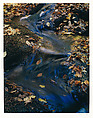 Puffer Pond Brook, Warren County, Adirondack Park, New York, Eliot Porter American, Dye transfer print