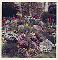 Garden - Pittsfield, New York, Peter Fink  American, Chromogenic print