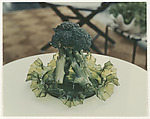 Broccoli - Ogonquit, Maine, Peter Fink  American, Chromogenic print