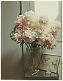 Peonies - New York, Peter Fink  American, Chromogenic print