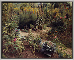 Giverny, Stephen Shore  American, Chromogenic print