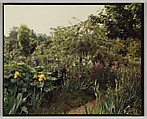 Giverny, Stephen Shore  American, Chromogenic print