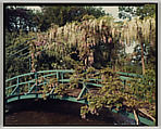 Giverny, Stephen Shore  American, Chromogenic print