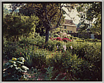 Giverny, Stephen Shore  American, Chromogenic print