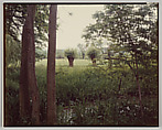 Giverny, Stephen Shore  American, Chromogenic print