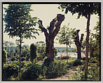 Giverny, Stephen Shore  American, Chromogenic print
