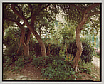 Giverny, Stephen Shore  American, Chromogenic print