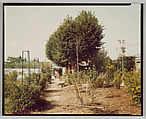 Giverny, Stephen Shore  American, Chromogenic print