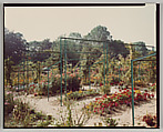 Giverny, Stephen Shore  American, Chromogenic print