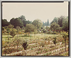 Giverny, Stephen Shore  American, Chromogenic print