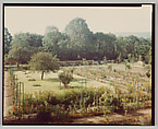 Giverny, Stephen Shore  American, Chromogenic print