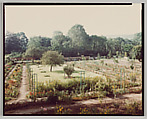 Giverny, Stephen Shore American, Chromogenic print