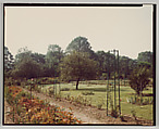 Giverny, Stephen Shore American, Chromogenic print