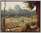 Giverny, Stephen Shore  American, Chromogenic print