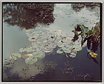 Giverny, Stephen Shore  American, Chromogenic print