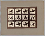 Attitudes of Animals in Motion, Eadweard Muybridge  British and American, Albumen silver print