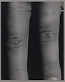 Index, William Wegman (American, born 1943), Gelatin silver prints