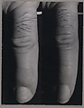 Index, William Wegman (American, born 1943), Gelatin silver prints