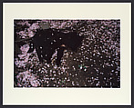 Untitled, Shomei Tomatsu Japanese, Chromogenic print