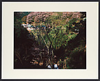Untitled, Shomei Tomatsu Japanese, Chromogenic print