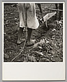 Alabama Plow Girl, near Eutaw, Alabama, Dorothea Lange  American, Gelatin silver print