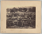Mule Pen, Camp Nelson, Kentucky, G. W. Foster American, Albumen silver print from glass negative