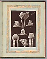 Fashions 1837-1887, William Charles Brown (British, active late 19th century), Woodburytypes