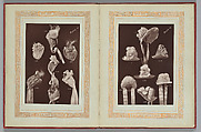 Fashions 1837-1887, William Charles Brown (British, active late 19th century), Woodburytypes