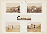 [Fox Hunting in the Roman Countryside], Giuseppe Primoli (Italian, 1851–1927), Gelatin silver print
