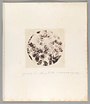 [Untitled], Auguste-Adolphe Bertsch  French, Salted paper print