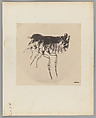 [Untitled], Auguste-Adolphe Bertsch  French, Salted paper print