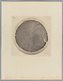 [Untitled], Auguste-Adolphe Bertsch  French, Salted paper print