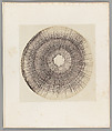 [Untitled], Auguste-Adolphe Bertsch  French, Salted paper print