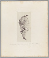 [Untitled], Auguste-Adolphe Bertsch  French, Salted paper print