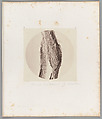 [Untitled], Auguste-Adolphe Bertsch  French, Salted paper print