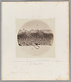 [Untitled], Auguste-Adolphe Bertsch  French, Salted paper print