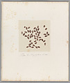 [Untitled], Auguste-Adolphe Bertsch  French, Salted paper print