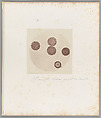 [Untitled], Auguste-Adolphe Bertsch  French, Salted paper print