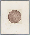 Diatomée [Diatom], Auguste-Adolphe Bertsch  French, Salted paper print